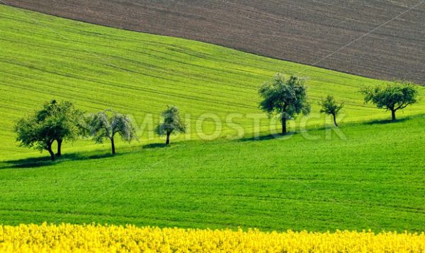 Colorful countryside landscape in Bavaria, Germany - GlobePhotos - royalty free stock images