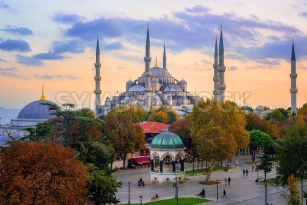 Blue Sultanahmet Mosque, Istanbul, Turkey - GlobePhotos - royalty free stock images