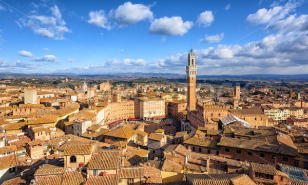 Piazza del Campto, Old Town of Siena, Tuscany, Italy - GlobePhotos - royalty free stock images