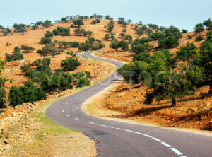 A winding road and argan trees, Tafraoute, southern Morocco