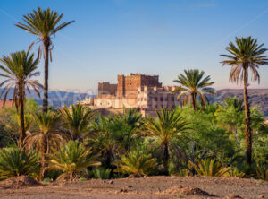 Ait Taleb kasbah in a palm grove, Skoura, Morocco